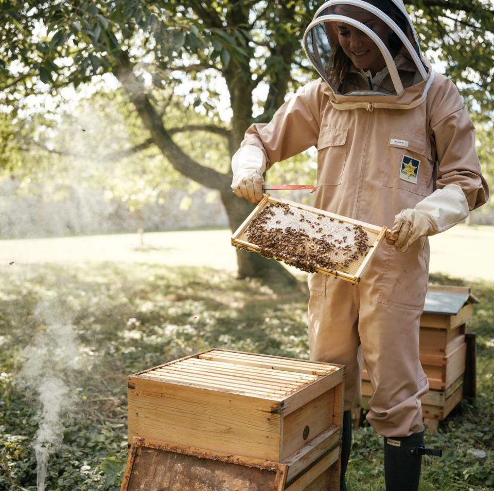 La photo a été publiée samedi à l'occasion de la Journée mondiale des abeilles 