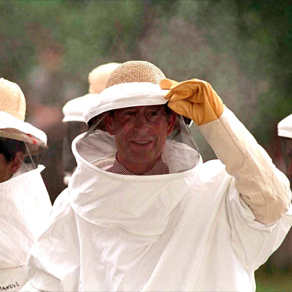 Le prince Charles en Argentine portant un costume d'apiculteur pour une visite pour voir l'apiculture au potager biologique de Buenas Ondas - Tim Graham