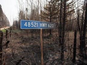 Un panneau de signalisation brûlé et des arbres endommagés par les récents incendies de forêt sont affichés à Drayton Valley, en Alberta.  le mercredi 17 mai 2023.