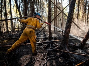 Un membre des Forces canadiennes du 41e Groupe-brigade du Canada éteint un point chaud alors qu'il combattait des incendies de forêt à Drayton Valley, Alberta, Canada, le 15 mai 2023.