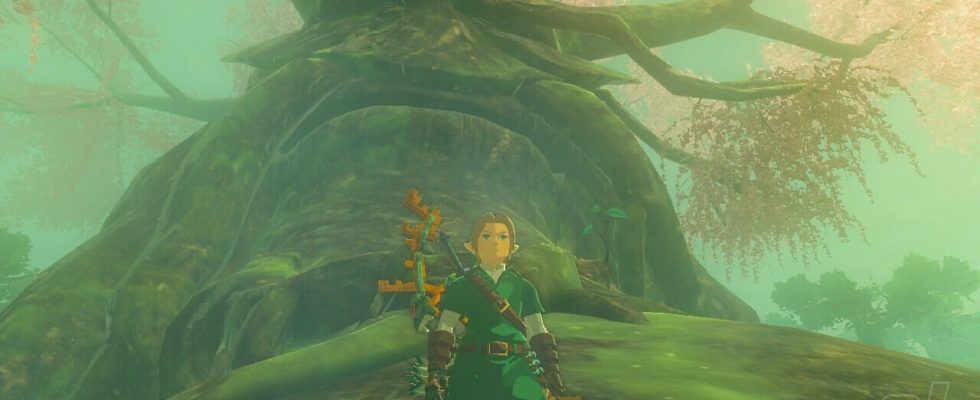 Zelda: Tears Of The Kingdom: Comment se rendre à la forêt de Korok, Lost Woods