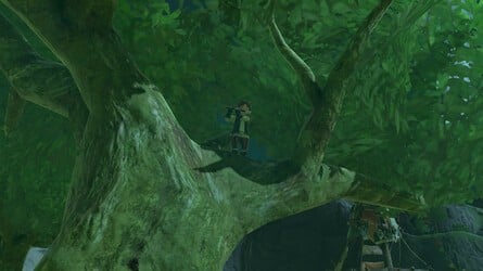 Zelda: Tears Of The Kingdom: Où trouver les lucioles du coucher du soleil - Procédure pas à pas 4 du plan du joueur de flûte