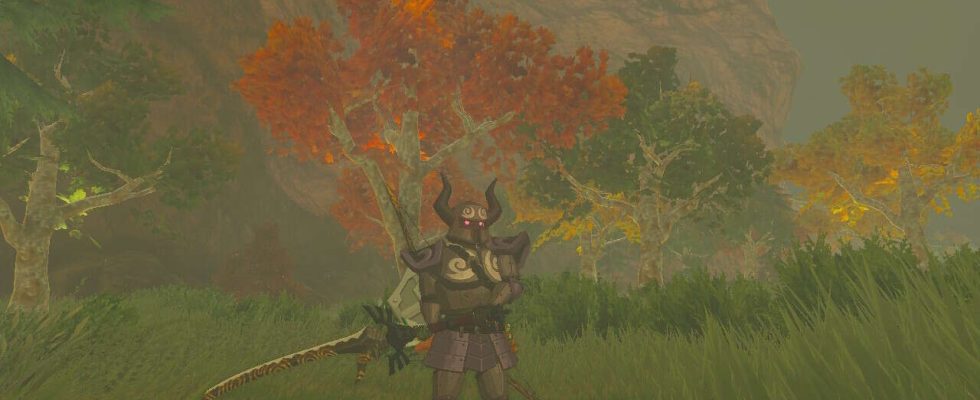 Zelda: Tears Of The Kingdom - Guide des meilleures armes et armures