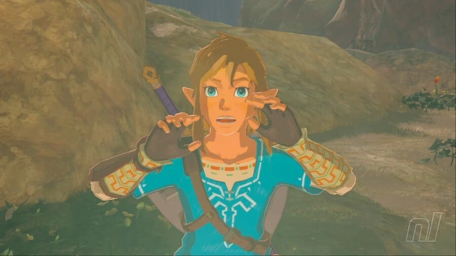 Zelda: Breath of the Wild Link Choc