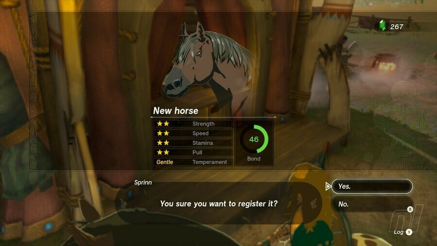 Zelda: Tears Of The Kingdom: Toutes les récompenses Pony Points - Que sont les points Pony ?  3