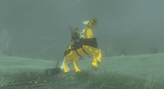Zelda: Tears Of The Kingdom: Toutes les récompenses Pony Points - Que sont les points Pony ?
