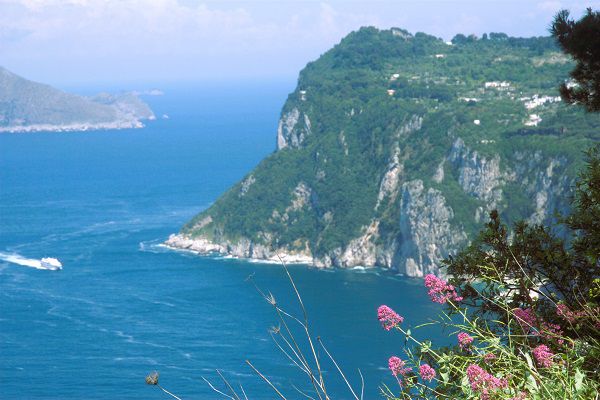 Image de l'île de Capri, avec des fleurs sauvages au premier plan et un ferry arrivant dans la crique. 