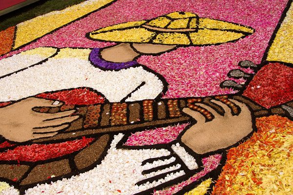 Image d'un art coloré d'une personne sans visage jouant de la guitare, créée avec des sections de pétales de fleurs et des matériaux de jardinage comme de la terre. 