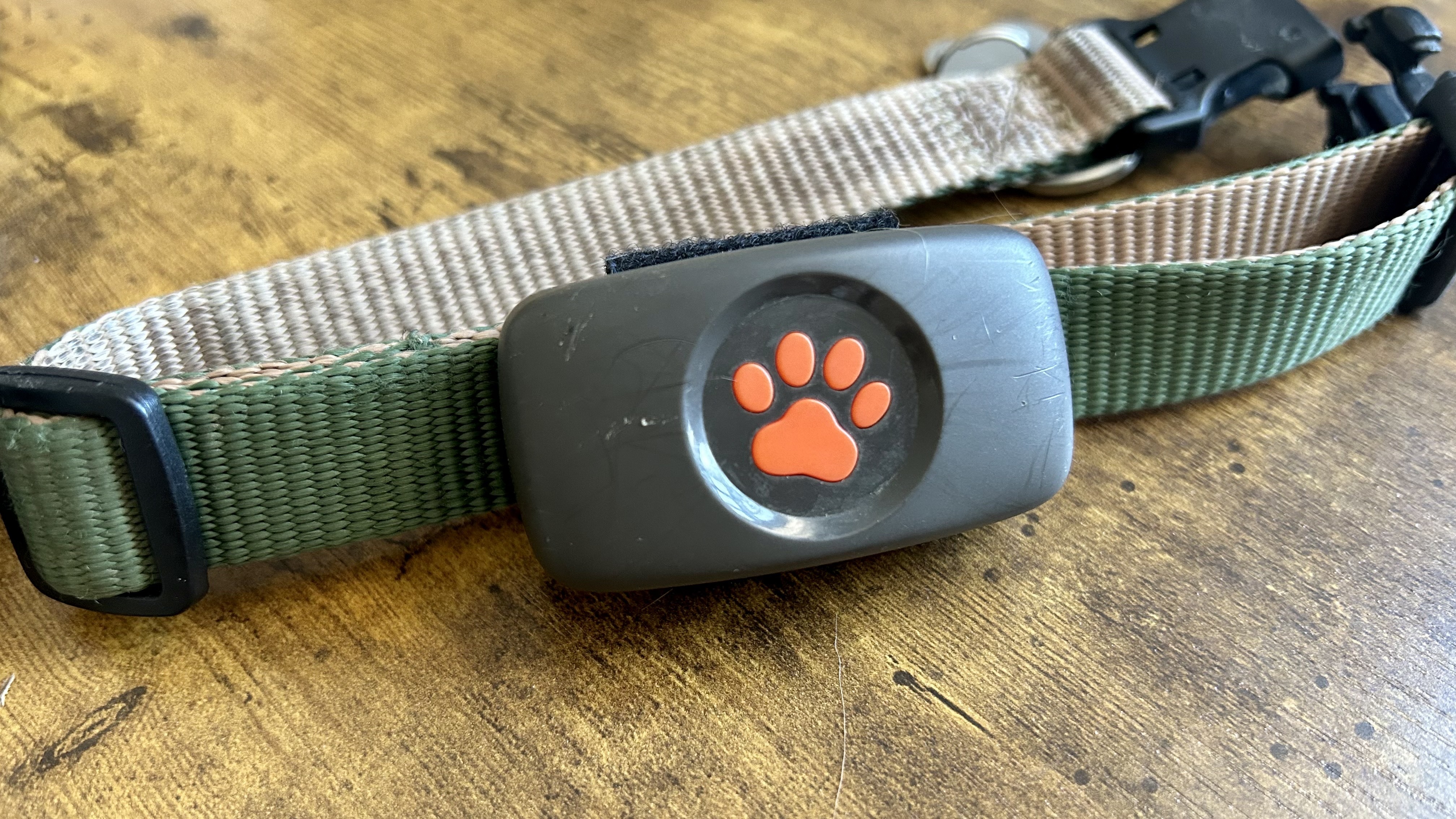 une photo du traceur GPS pour chien PitPat sur un collier