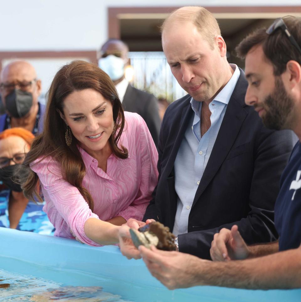 William et Catherine à Coral Vita, Bahamas, qui a été le premier gagnant du Revive Our Oceans Earthshot - Getty