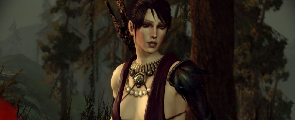 Morrigan the witch from Dragon Age: Origins.