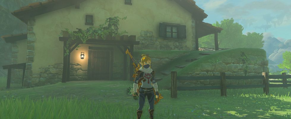 Apparemment, Zelda a volé la maison de Link dans Zelda : Tears of the Kingdom