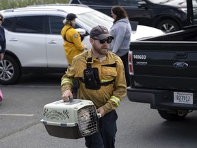 Patrick MacLennan, du ministère des Ressources naturelles, transporte un chat sauvé de la zone évacuée du feu de forêt qui brûle à Tantallon, en Nouvelle-Écosse, à l'extérieur d'Halifax, le lundi 29 mai 2023.
