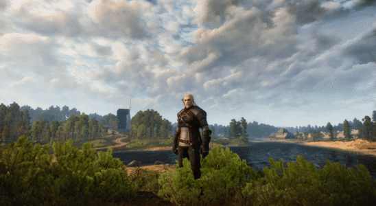 A gif showing Geralt