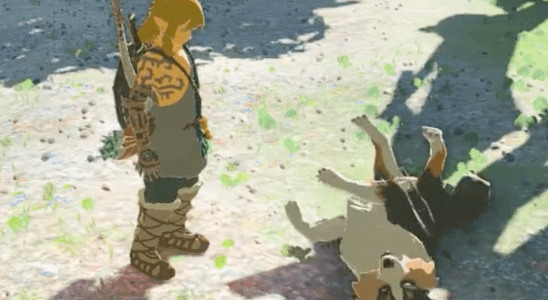 Ces joueurs de Zelda : Tears of Kingdom sont déterminés à caresser le chien