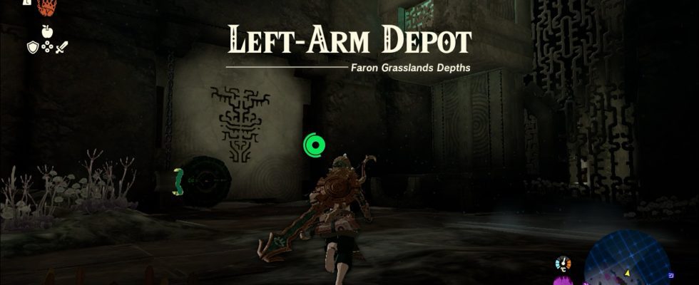 Zelda Left Arm Depot Guide