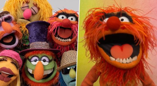 the muppets mayhem