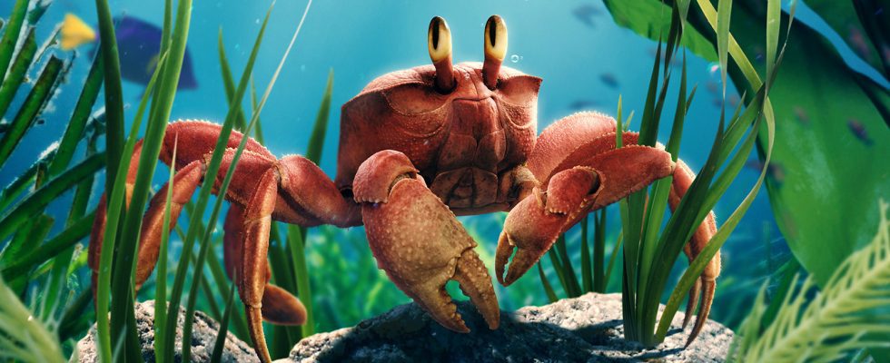 La Petite Sirène éclabousse vers un week-end de vacances de 118 millions de dollars au box-office [Update]