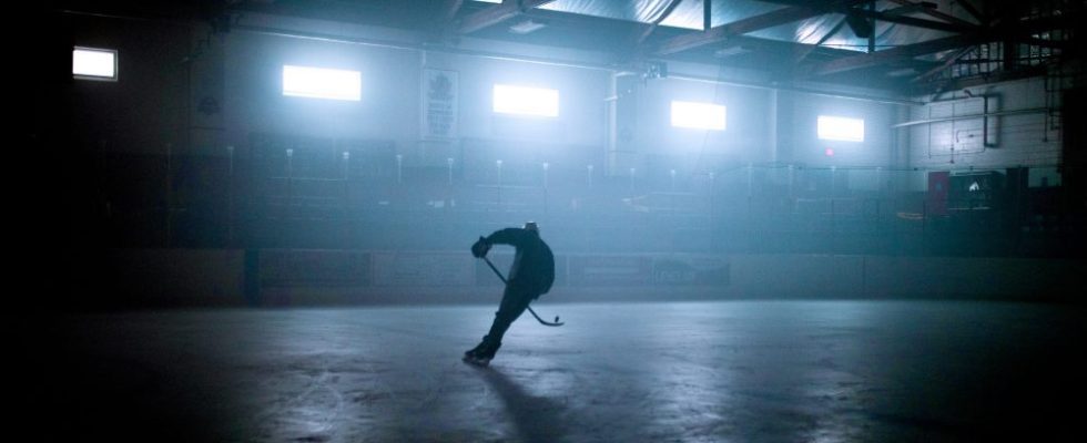 Les cinémas AMC projetteront "Black Ice", un documentaire qui dévoile l'histoire cachée du racisme contre les joueurs de hockey noirs (EXCLUSIF) Les plus populaires doivent être lus