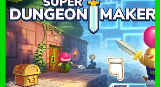 Test de Super Dungeon Maker (Nintendo Switch) — Le salon des joueurs