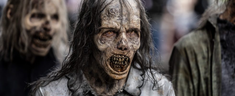 The Walking Dead Dead City Zombies