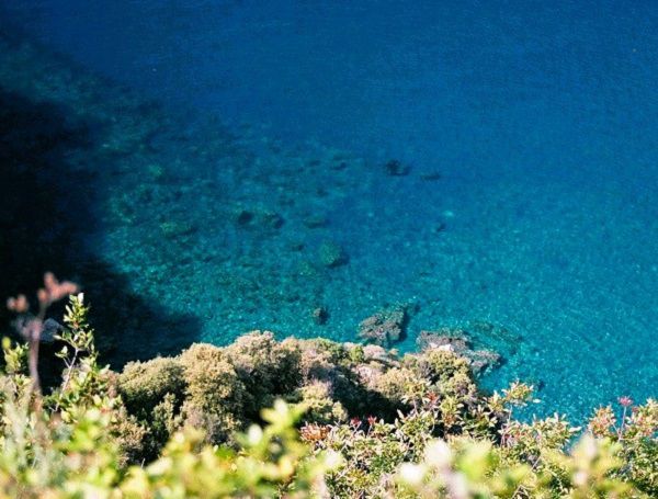 Image d'une eau bleu azur profond, regardant vers le bas depuis une falaise abrupte avec de petites fleurs sauvages au premier plan.