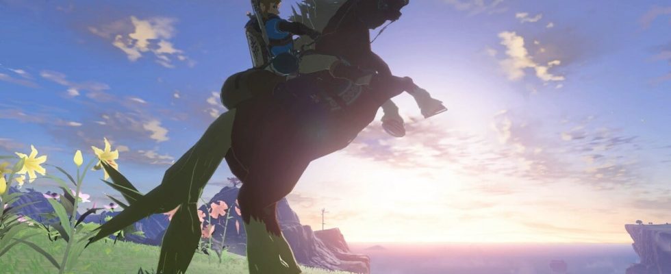Zelda: Tears Of The Kingdom: Procédure pas à pas – Objets de collection, trucs et astuces