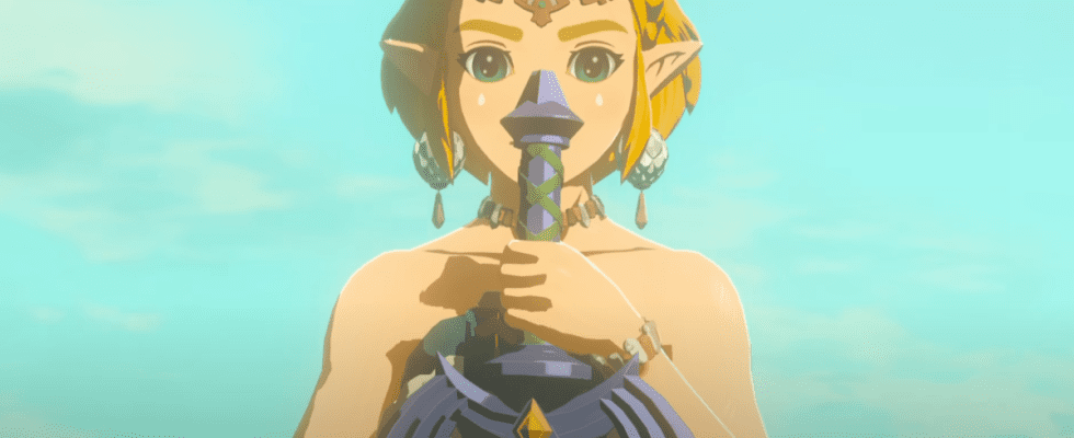 Zelda from Tears of the Kingdom