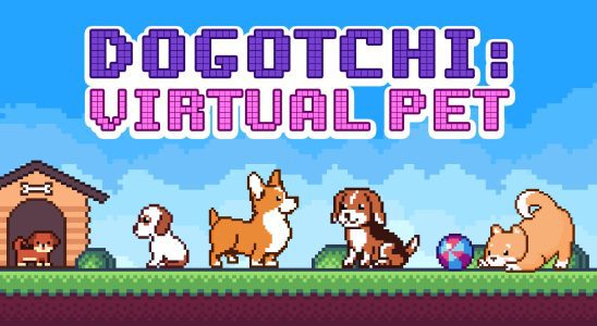 Virtual Pet sortira sur Switch en juin