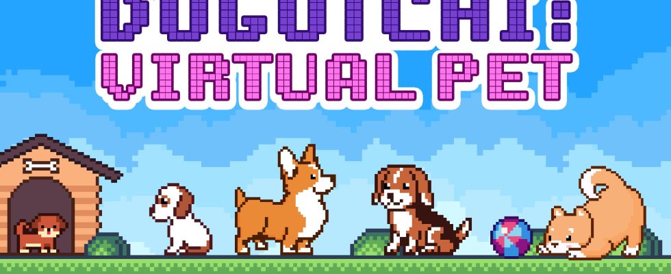Virtual Pet sortira sur Switch en juin