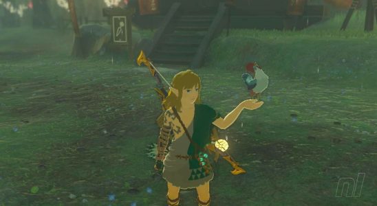 Aléatoire: Zelda: les joueurs de TOTK construisent des pièges à cucco pour un moyen facile de cultiver des œufs