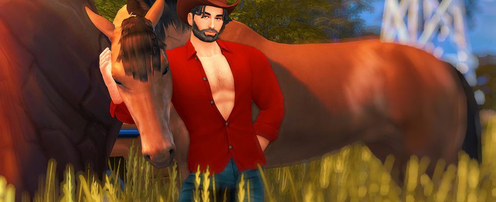 Une extension de cheval Sims 4 a accidentellement fui, et j'en ai besoin