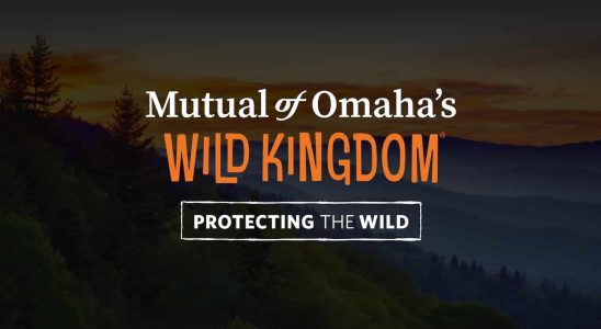 Mutual of Omaha’s Wild Kingdom TV Show on NBC: canceled or renewed?