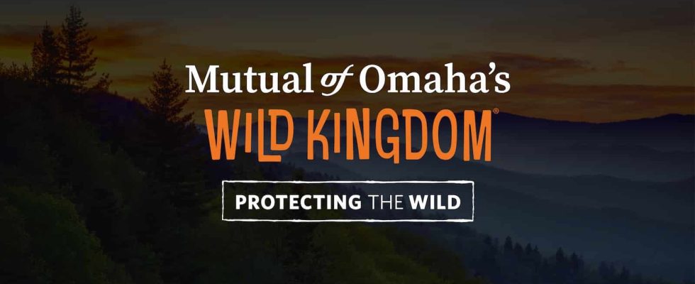 Mutual of Omaha’s Wild Kingdom TV Show on NBC: canceled or renewed?