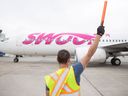Un avion Swoop arrive à l'aéroport international de Regina.  Un accord provisoire conclu avec les pilotes verrait les opérations de vol du transporteur à rabais intégrées à celles de WestJet.