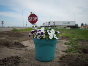 Des fleurs laissées par une personne sont vues sur le bord de la route où la route transcanadienne croise la route 5, à l'ouest de Winnipeg près de Carberry, Man., le vendredi 16 juin 2023, où un semi-remorque et un bus transportant des personnes âgées sont entrés en collision jeudi.