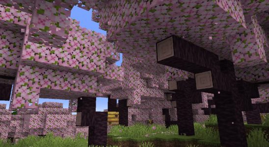 La dernière mise à jour de Minecraft arrive, introduisant un biome froid de fleurs de cerisier