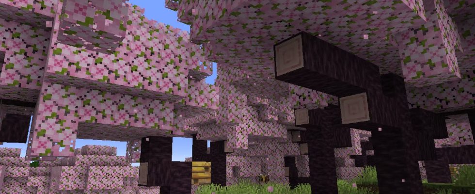 La dernière mise à jour de Minecraft arrive, introduisant un biome froid de fleurs de cerisier