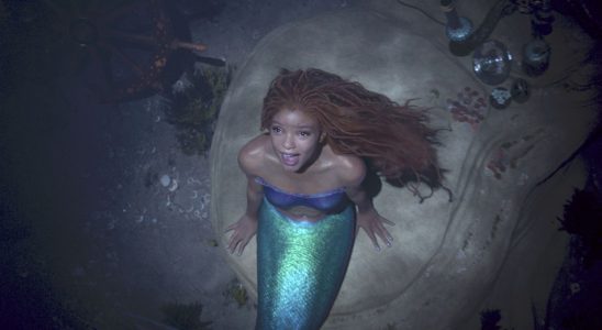 Les fans de Little Mermaid usurpent "Part of Your World" sur TikTok