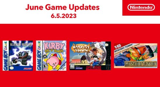Nintendo Switch Online ajoute Kirby Tilt 'n' Tumble, Mystery Tower, Harvest Moon, Blaster Master: Enemy Below