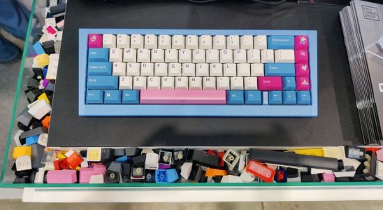 The Ducky ProjectD outlaw in blue and pink