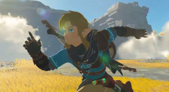 The Legend of Zelda: Tears of the Kingdom Player crée une échelle de travail qui révèle d'étranges vérités sur Link
