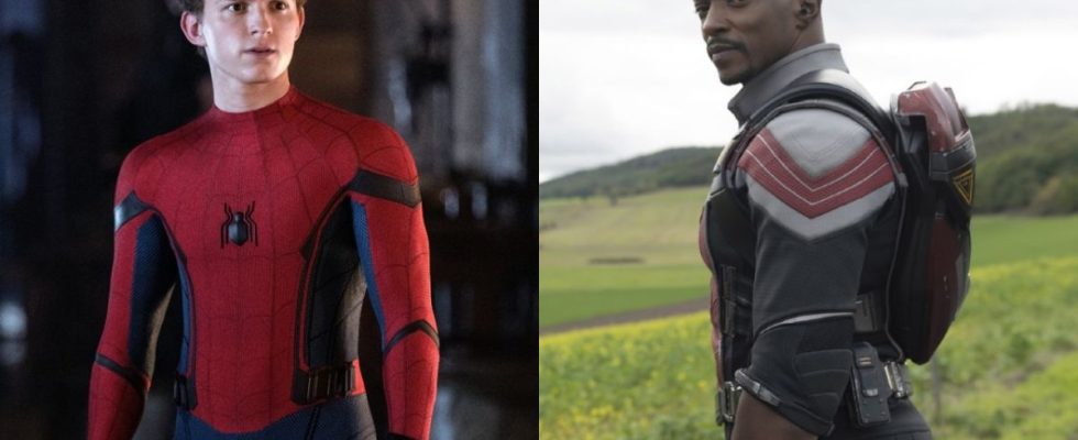 Tom Holland in Spider-Man: Far From Home and Anthony Mackie in The Falcon and The Winter Soldier.