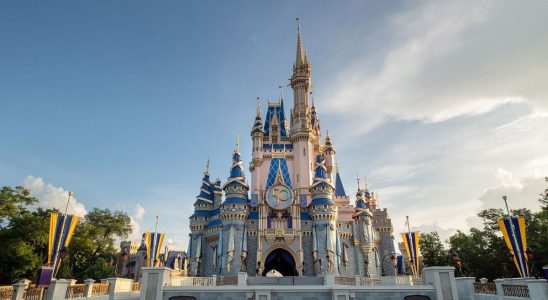 Une nouvelle enquête indique que les deux manèges Disney World les plus populaires incluent un manège fermé pour toujours et un autre fermé à Disneyland