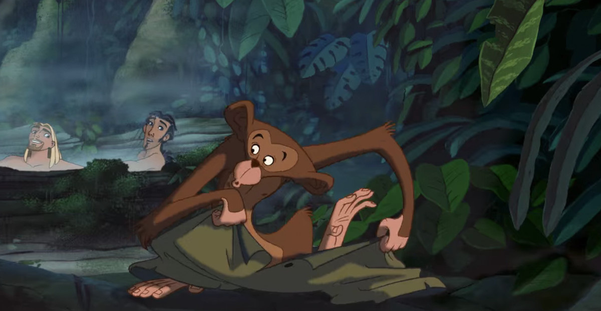 Un singe qui vole un pantalon dans la jungle.