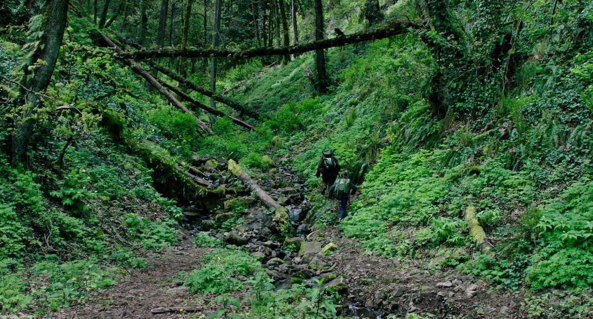 Thomasin McKenzie et Ben Foster, dos à la caméra, marchent dans la verdure luxuriante de la forêt dans Leave No Trace.