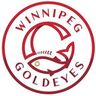 Logo des Yeux dorés de Winnipeg.