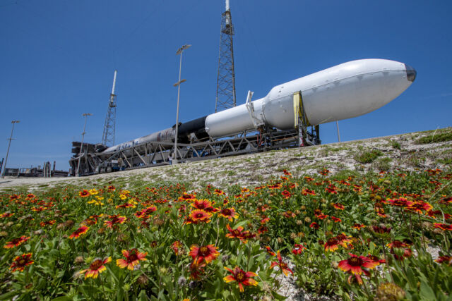 La fusée Falcon 9 de SpaceX, avec le télescope Euclid dans son carénage de charge utile, se déploie sur sa rampe de lancement à Cap Canaveral.  Le Falcon 9 a volé avec un nouveau carénage de charge utile et un booster de premier étage réutilisé.