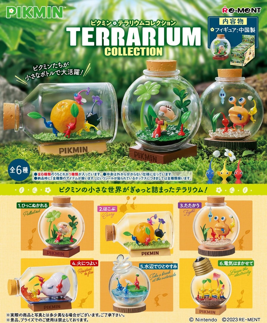 Collection Terrarium