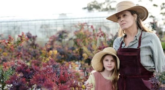 The Lost Flowers of Alice Hart TV Show on Prime Video: canceled or renewed?